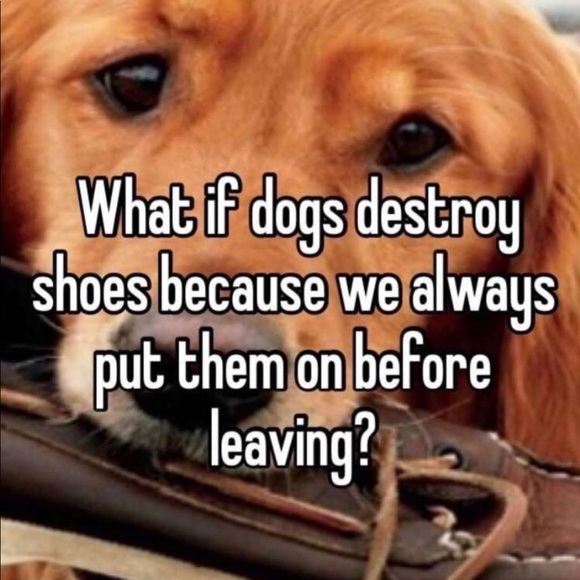 Meet your Posher, Andrea - Picture 1 of 1